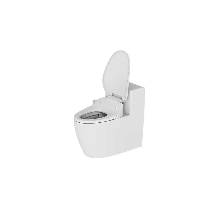 Intelligent toilet seat ZN1101